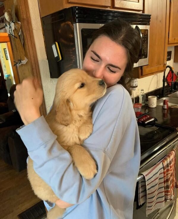 Tucker – The Smart & Curious One   (8weeks) - Image 2