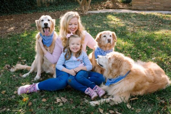 golden retriever puppies